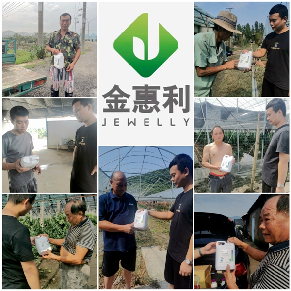 寧波金惠利為臺風受災(zāi)地區(qū)“農(nóng)友會”成員送溫暖