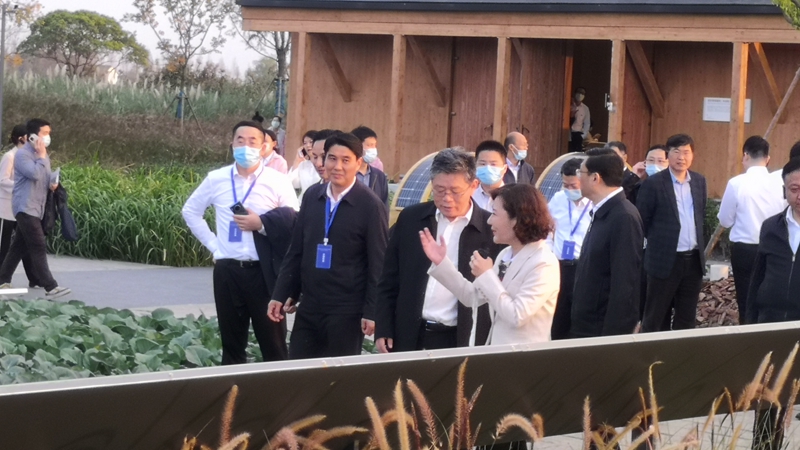國家發(fā)改委黨組成員郭蘭峰、浙江省常務(wù)副省長徐文光一行調(diào)研浙農(nóng)嘉善萬畝水稻種植示范區(qū)