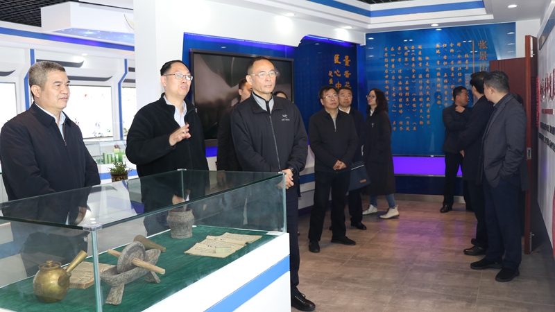 省人大常委會委員、社會建設(shè)委員會副主任委員王敏一行調(diào)研景岳堂
