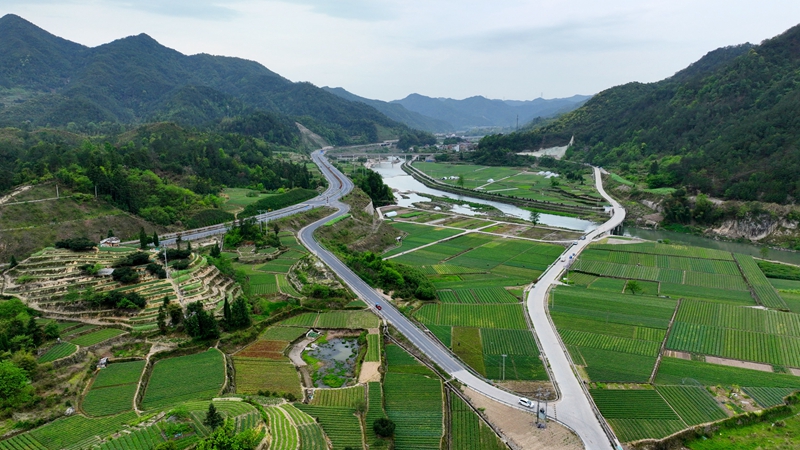 浙農(nóng)浙貝母、杭白菊基地通過中藥材GAP延伸檢查